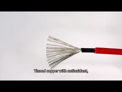 کابل PV پانل خورشیدی مشکی قرمز رنگ DC 4mm2 سیم با کیفیت دو عایق